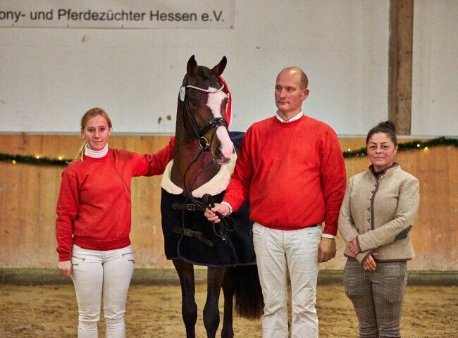 650x480-crop-90-2025darmstadtkoerungh0372