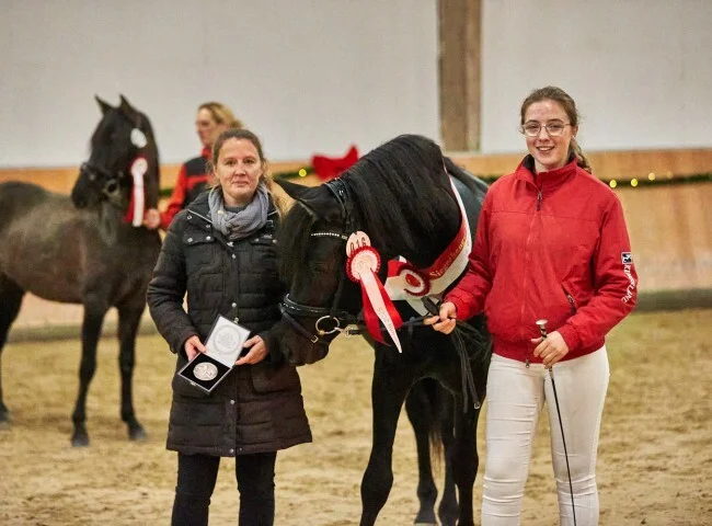 650x480-crop-90-2025darmstadtkoerungh0374