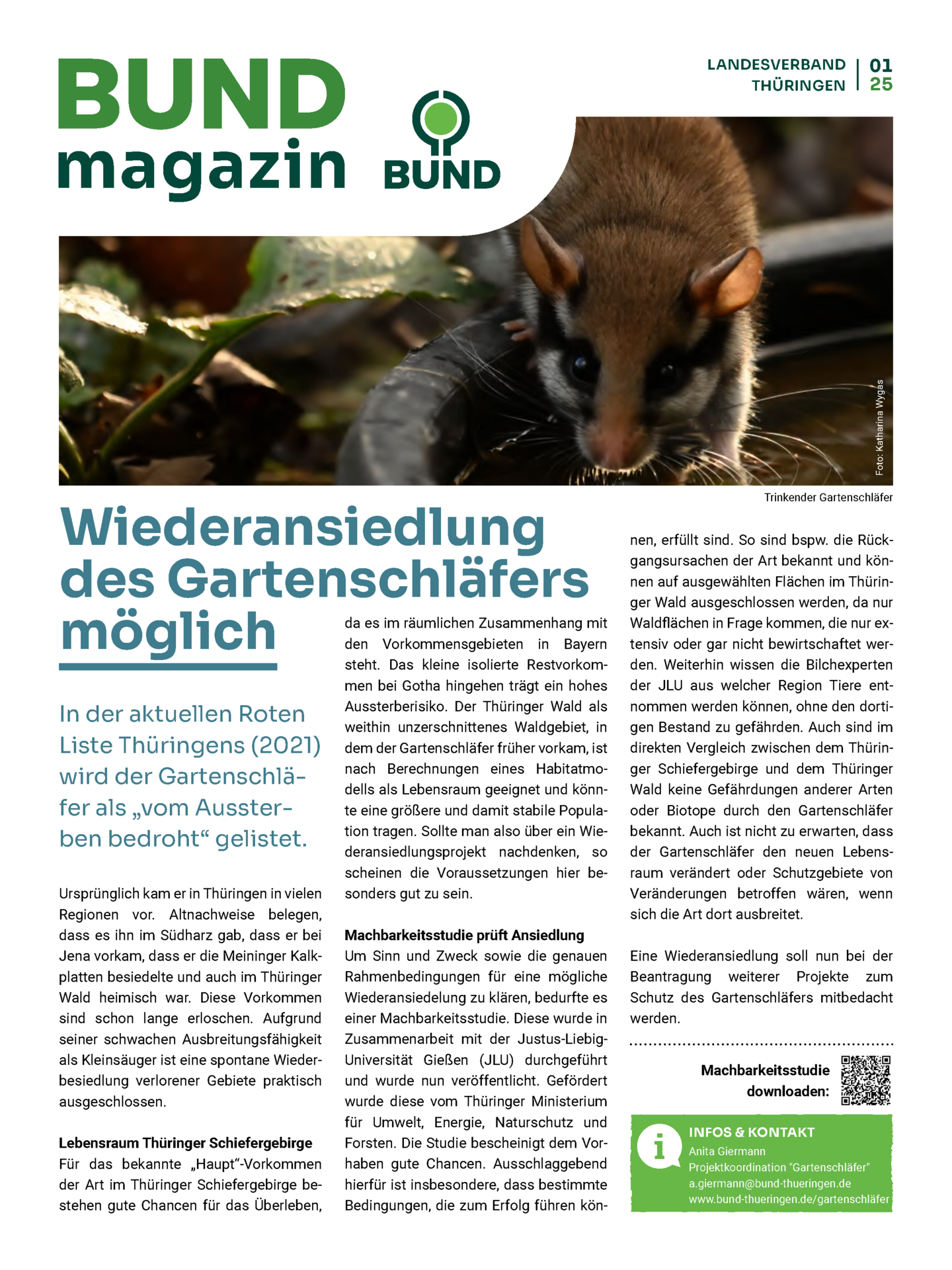 Pressemitteilung des BUND zum Gartenschläfer
