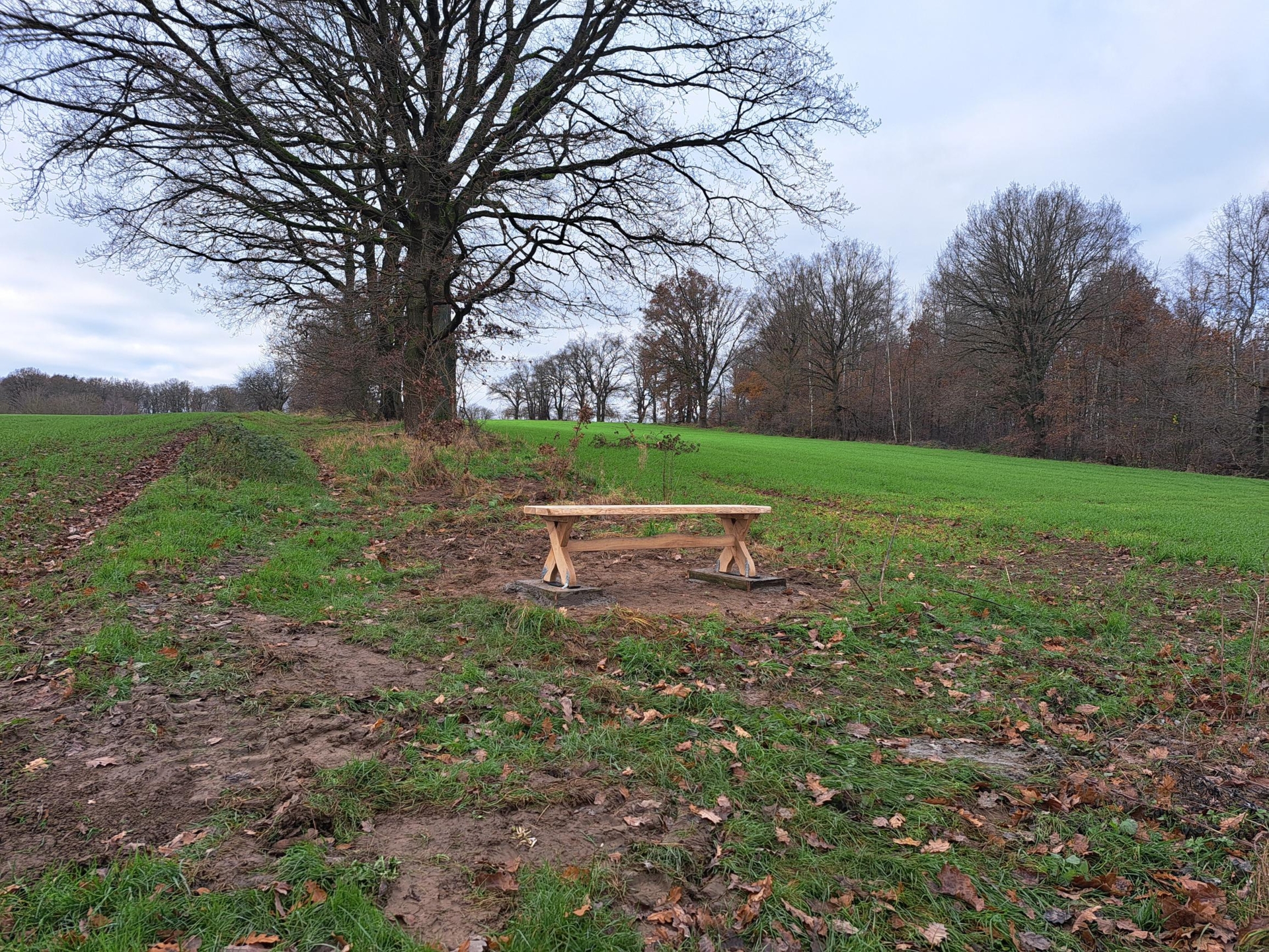 Sitzgelegenheiten Holzhausen