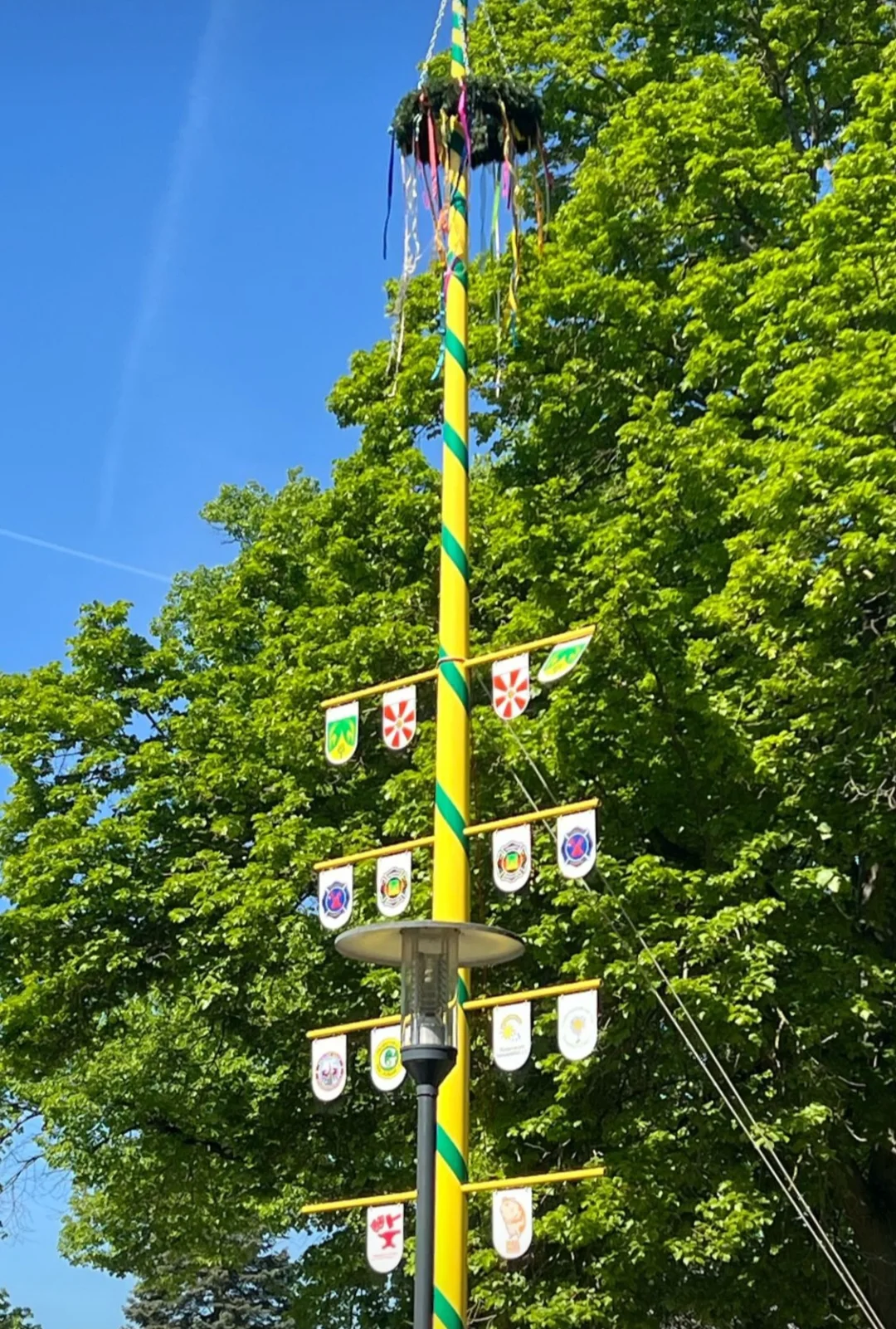 Maibaum