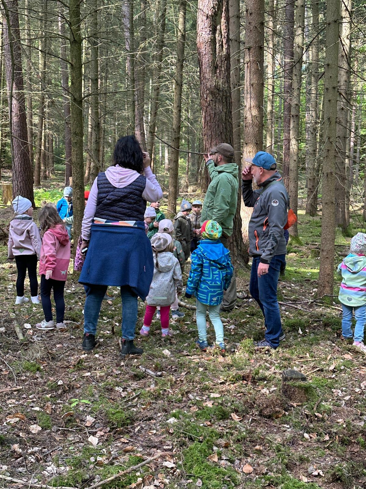 Waldprojekt im Kindergarten „Zwei-Burgen-Stadt“