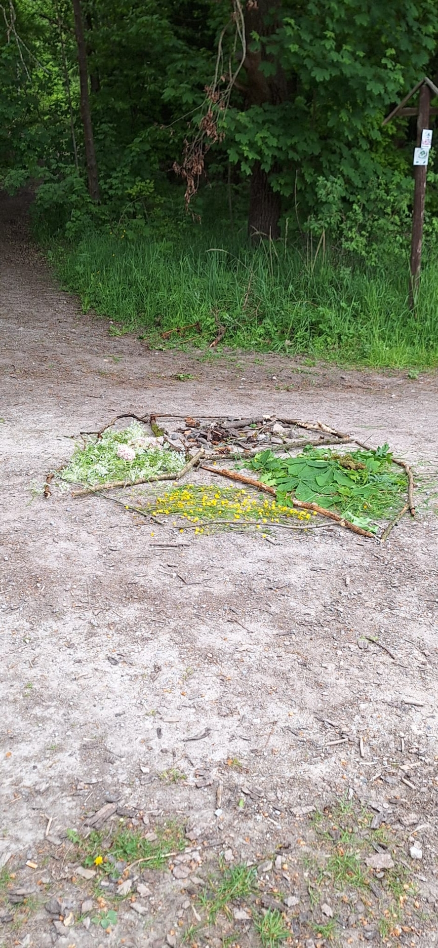 Waldprojekt im Kindergarten „Zwei-Burgen-Stadt“
