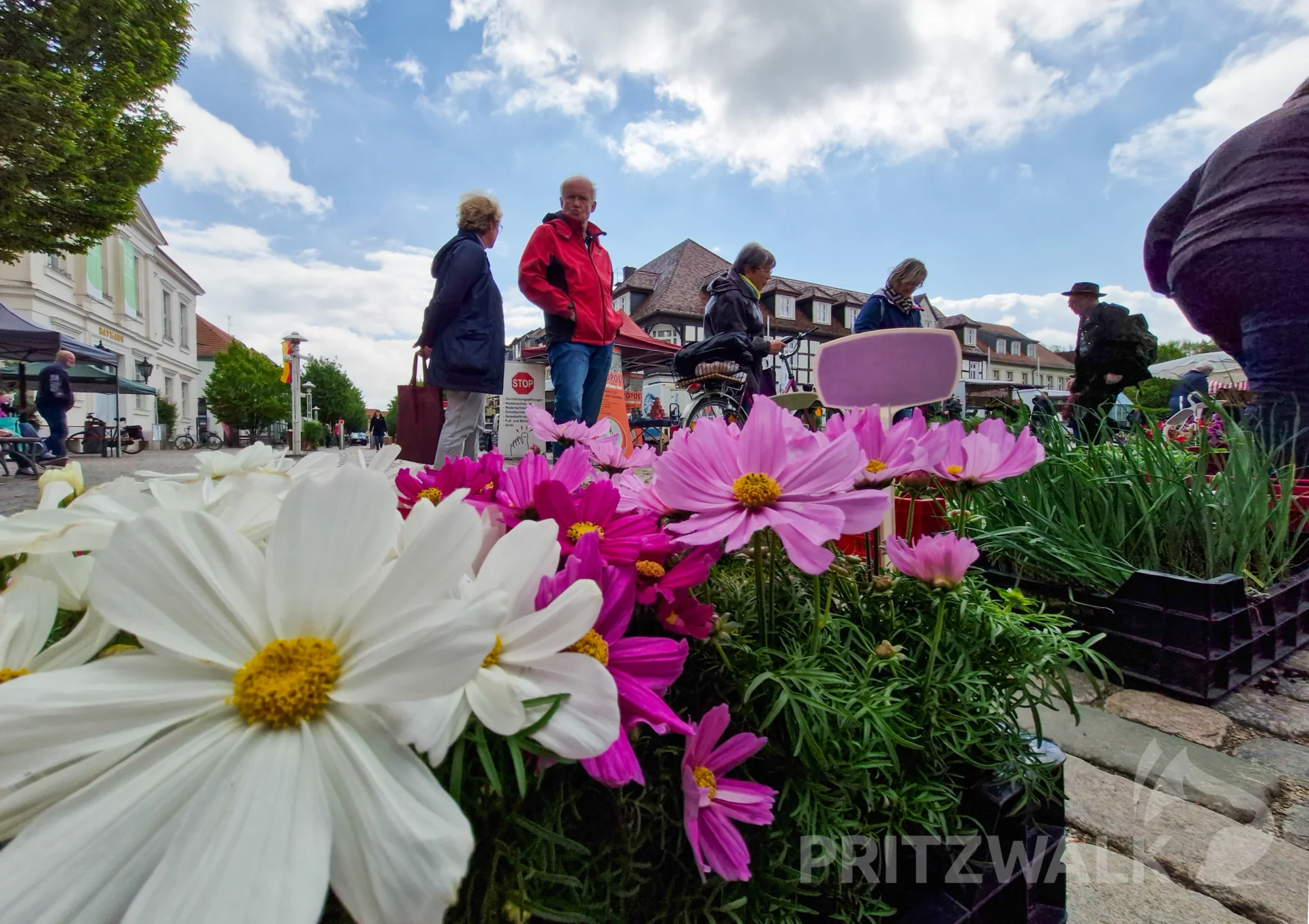 Es gab auch Blumen beim Salat- und Kräutermarkt. Foto: Stadt Pritzwalk