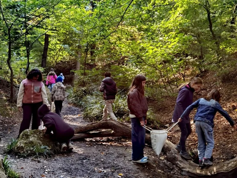Wanderung im Wald
