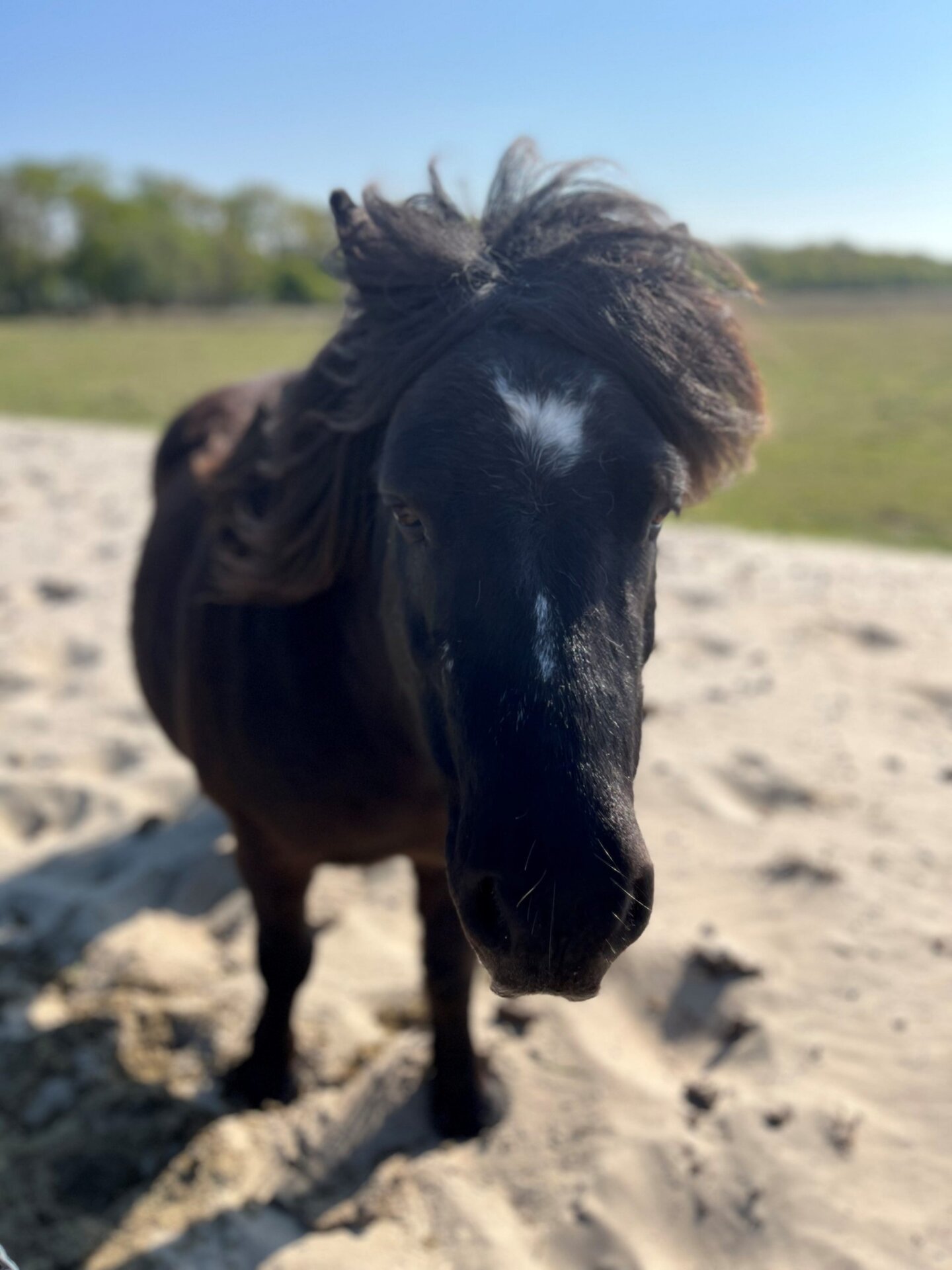 Mein Urlaub in Holland