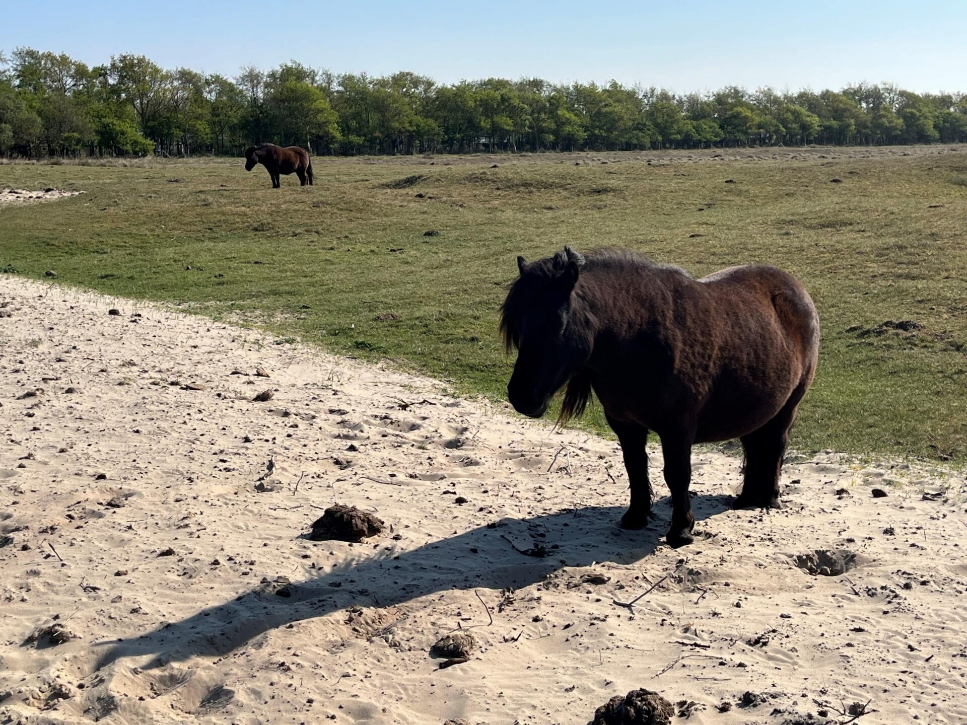 Mein Urlaub in Holland