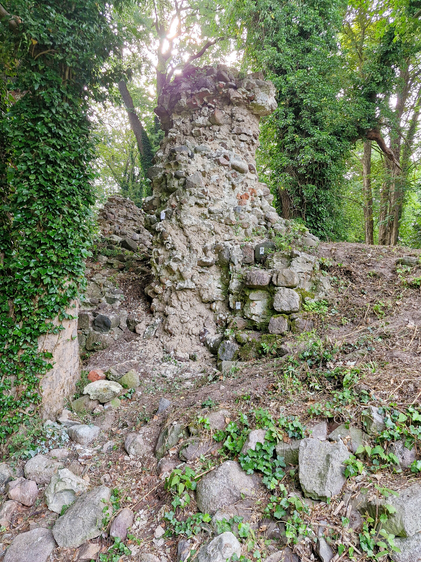 Der von den KulturGutRettern liebevoll Pilz genannte Teil der Mesendor-fer Burgruinenmauer ist nach dem Einsatz wieder standfest. Foto: Stadt Pritzwalk