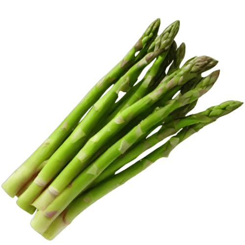 Spargel 500 x 500