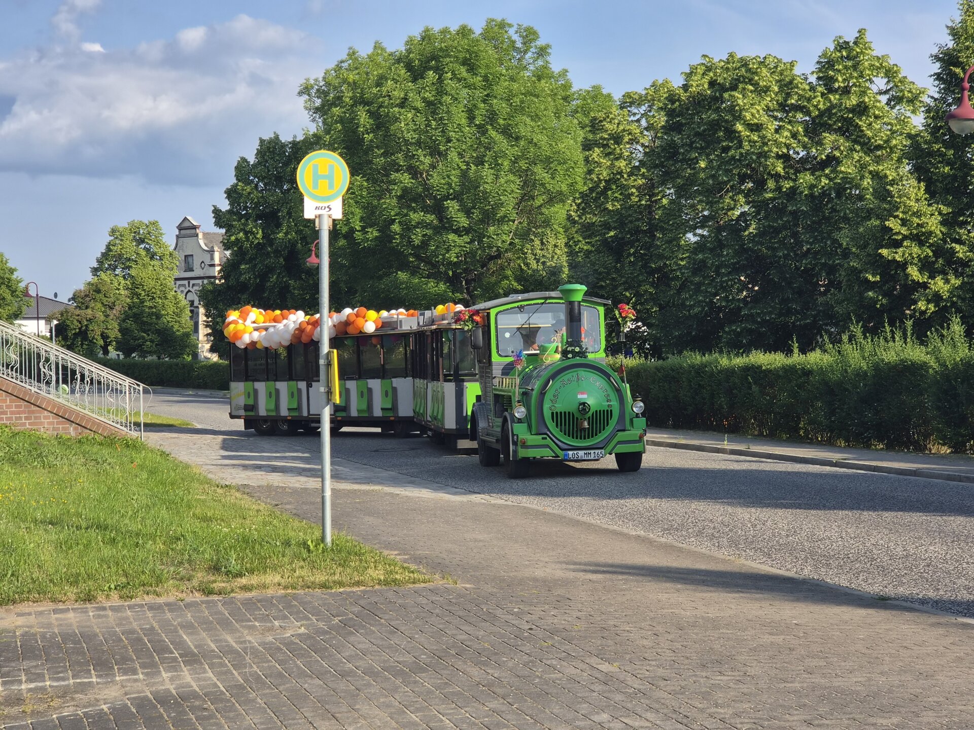 Fahrt mit der grünen Bimmelbahn zu den Alpakas nach Diehlo