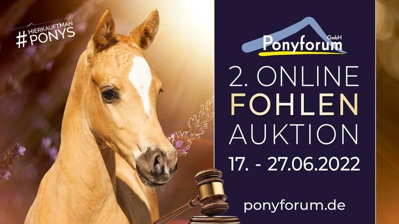 Plakat 2.Online Fohlen Auktion 2022