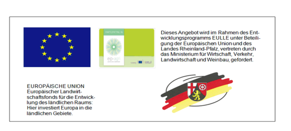 Publikationsverweis EIP