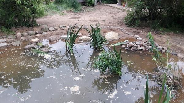 ..frisch angelegter Teich ohne Folie