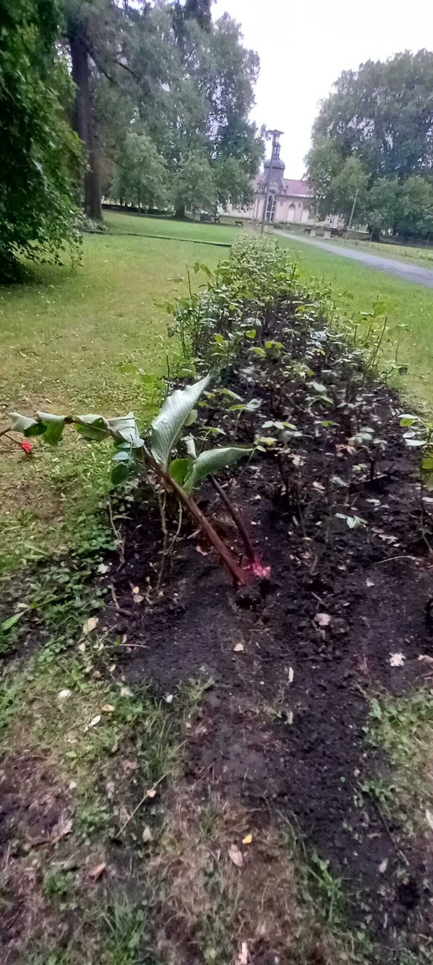 Vandalismus