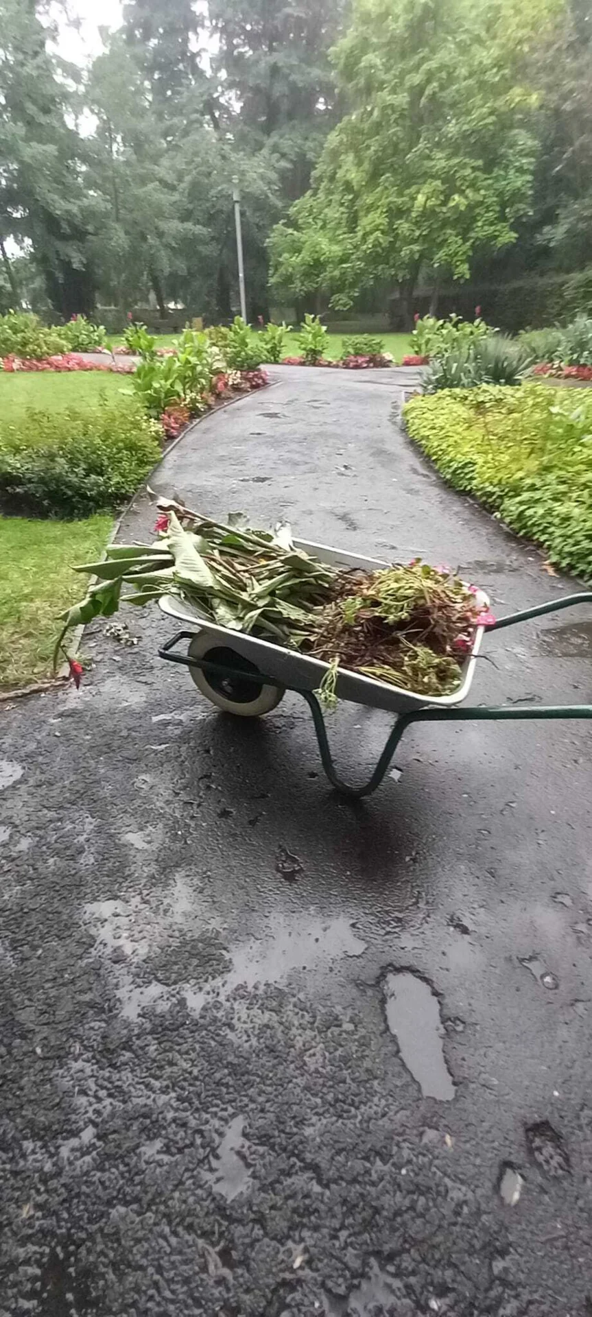Vandalismus