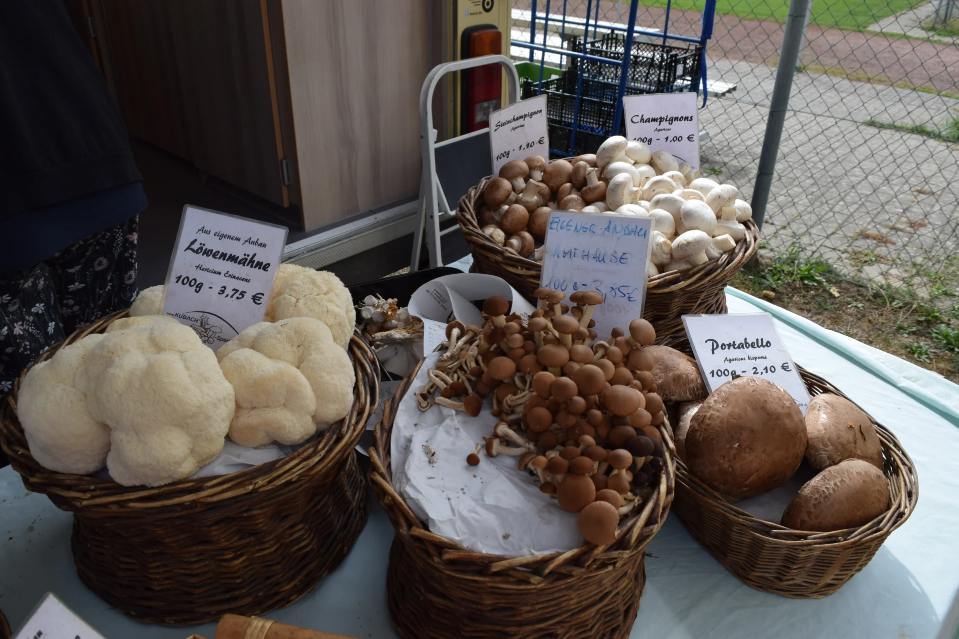 AB KW 39 Naturparkmarkt Mauer 3