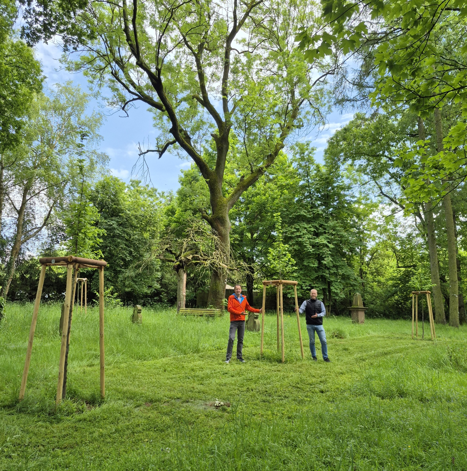 Baumspende Alter Friedhof
