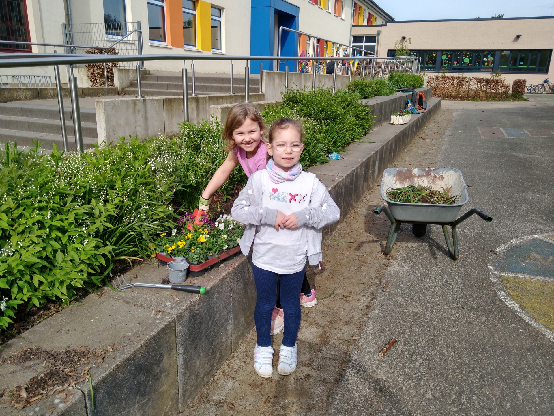 Jonna und Lia pflanzen Hornveilchen.