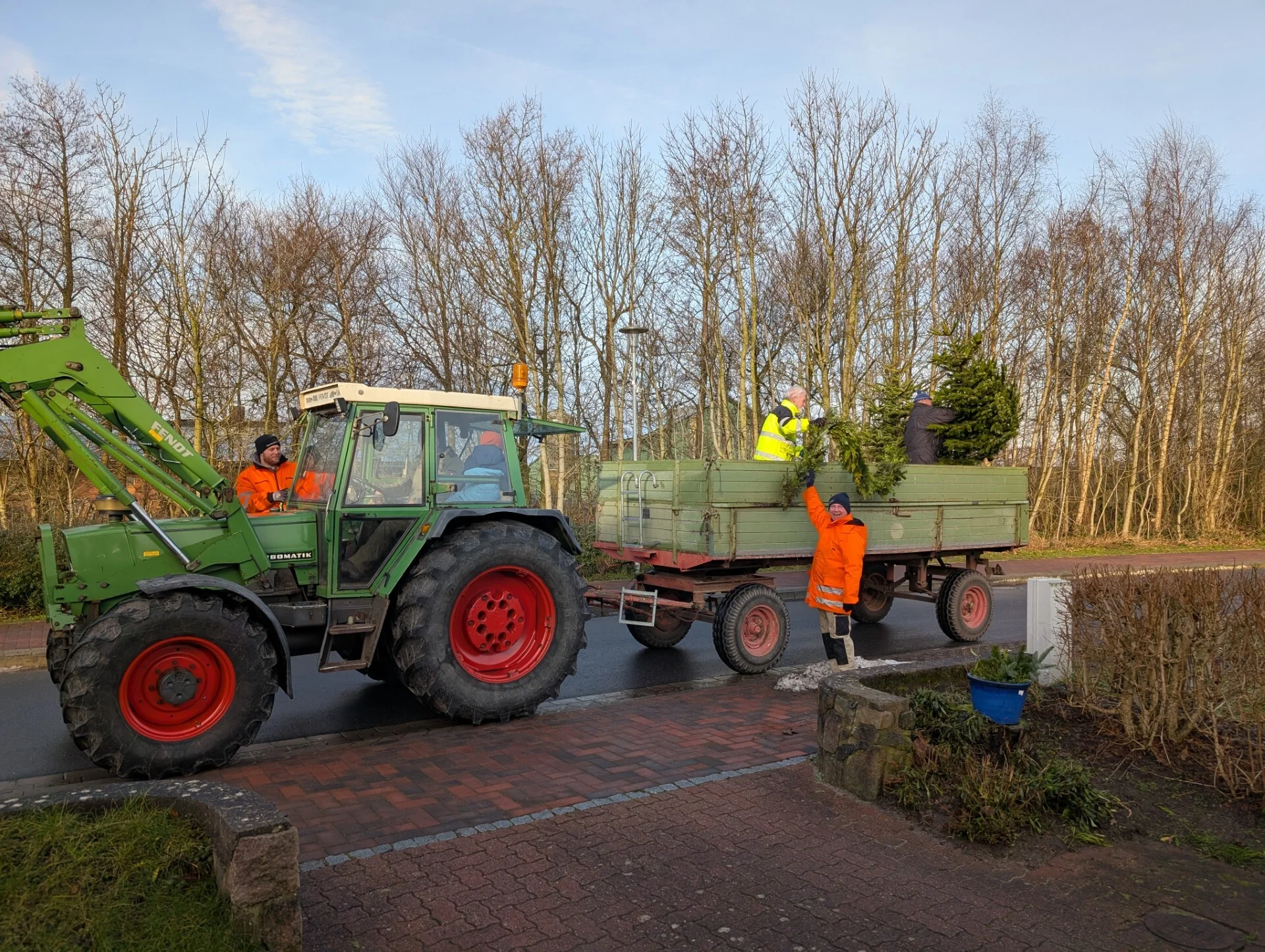 Tannenbaumeinsammler bei der Arbeit