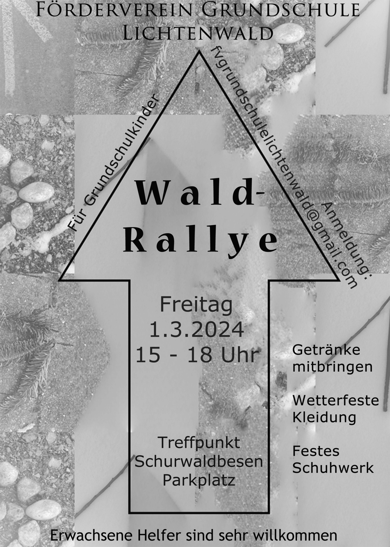 Wald-Rallye