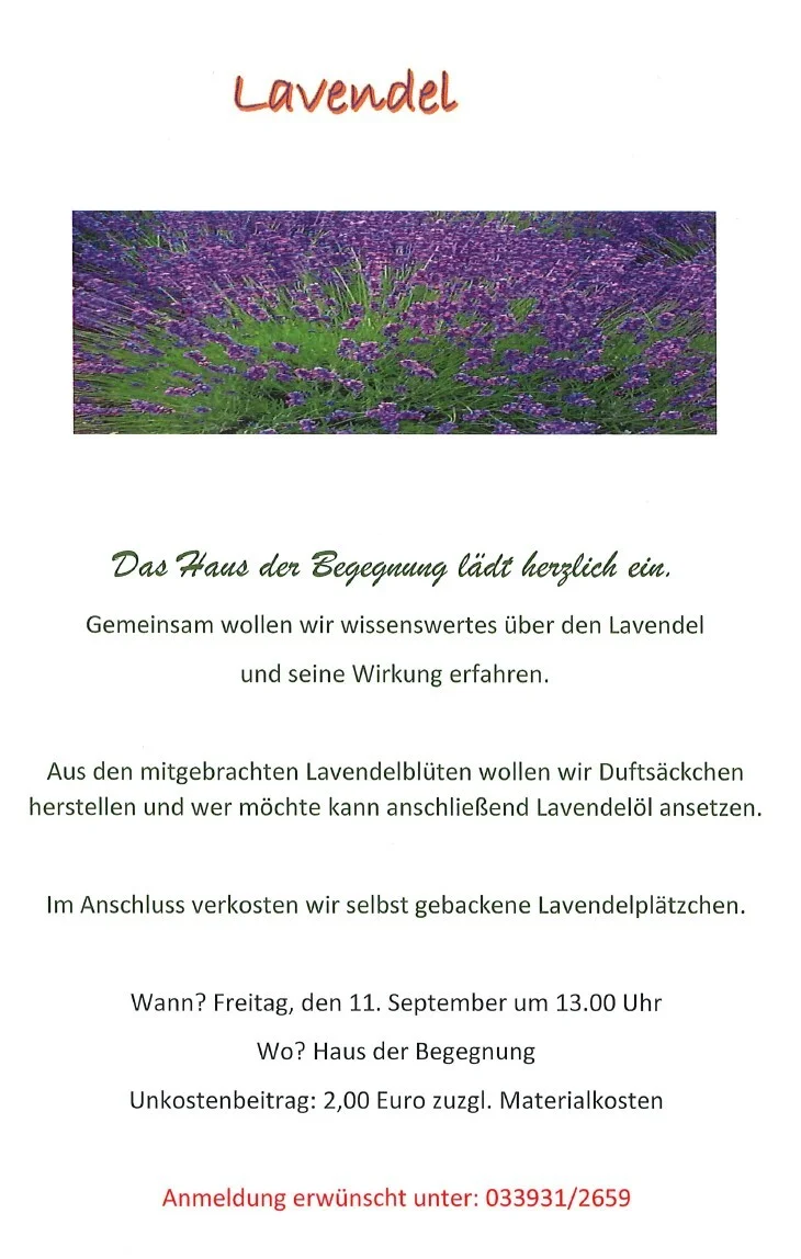 Lavendel