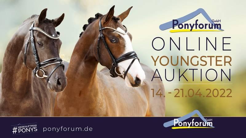 Plakat Online Youngster Auktion