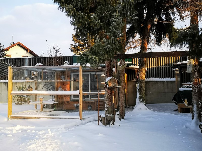 Taubenkäfig Taubenkäfig