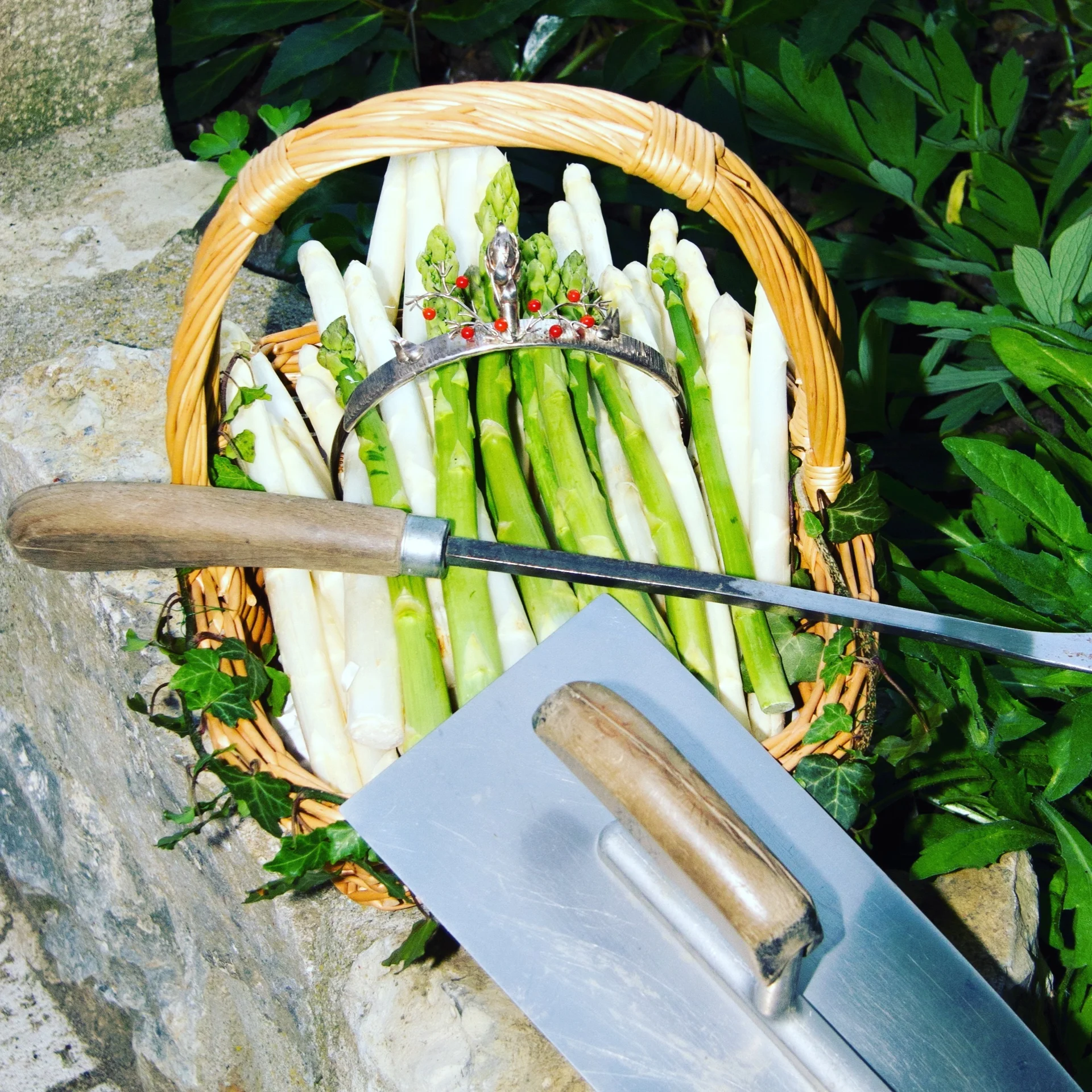 Spargelkrone