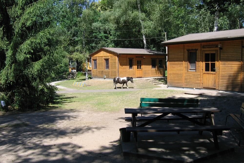 wildnisschule-teerofenbruecke-bungalows-pony