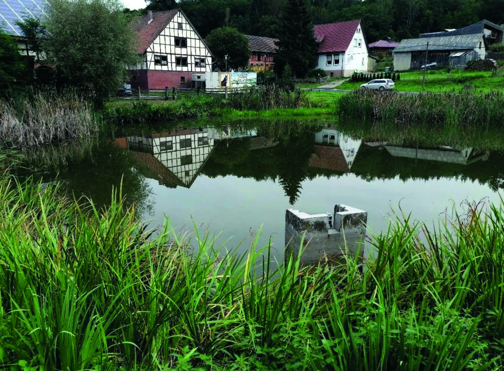 Schmiedenteich in Weißendiez
