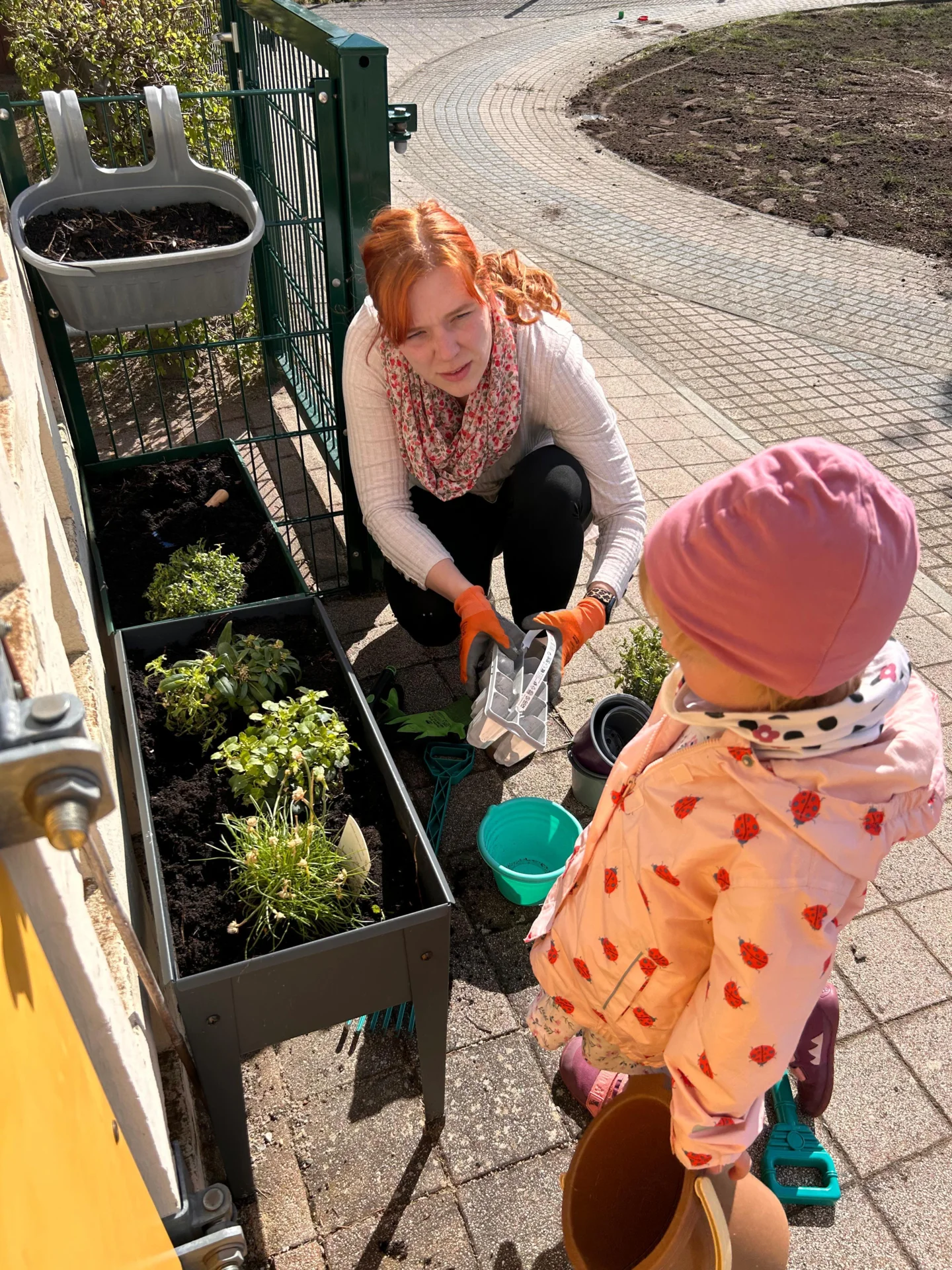Neue Kräuter werden gepflanzt