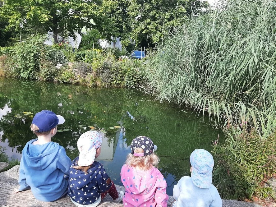 Bild5