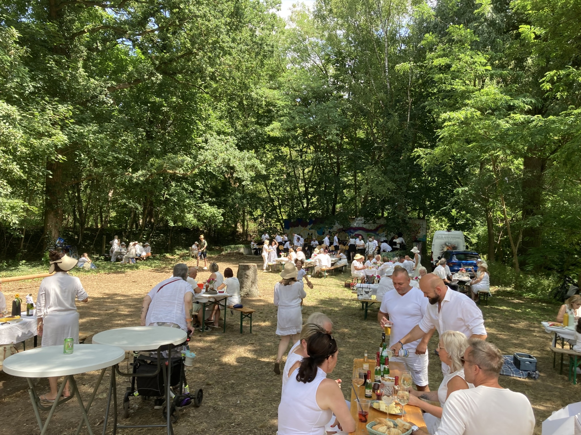 Picknick in Weiß 2