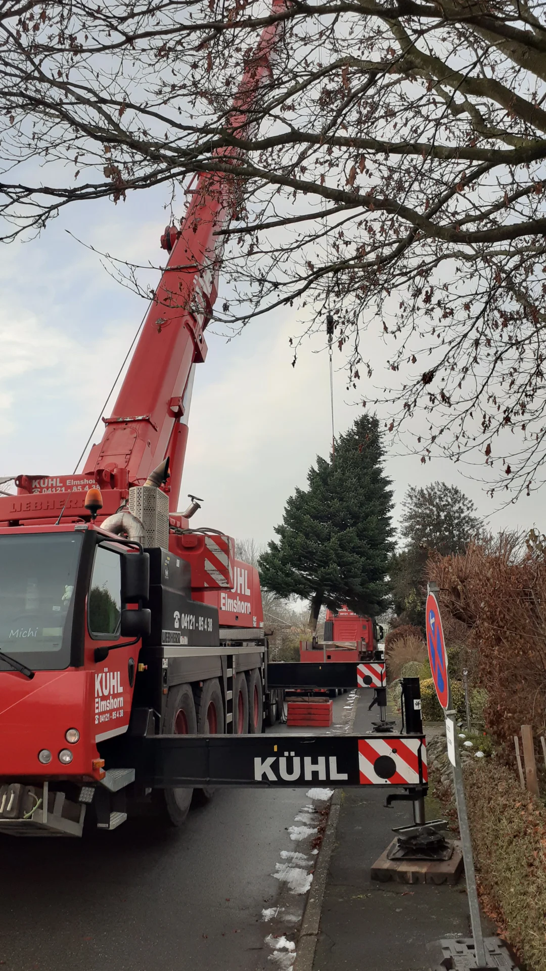 Aufladen des Weihnachtsbaums per Kran