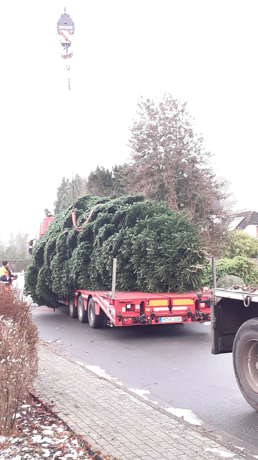 Abtransport des Weihnachtsbaums
