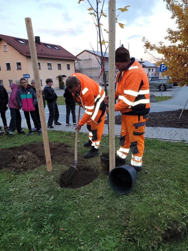 Baumpflanzaktion111