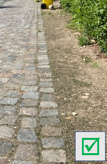 (Foto: Amt Föhr-Amrum)