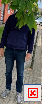 (Foto: Amt Föhr-Amrum)