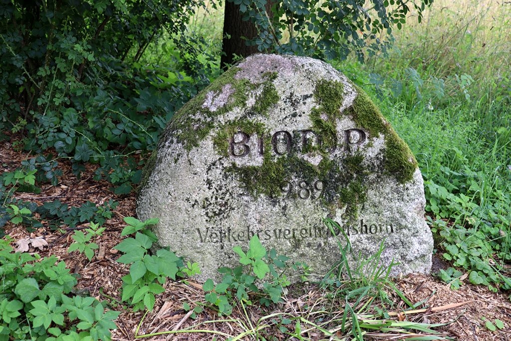 Biotop 1989 Verkehrsverein Düshorn