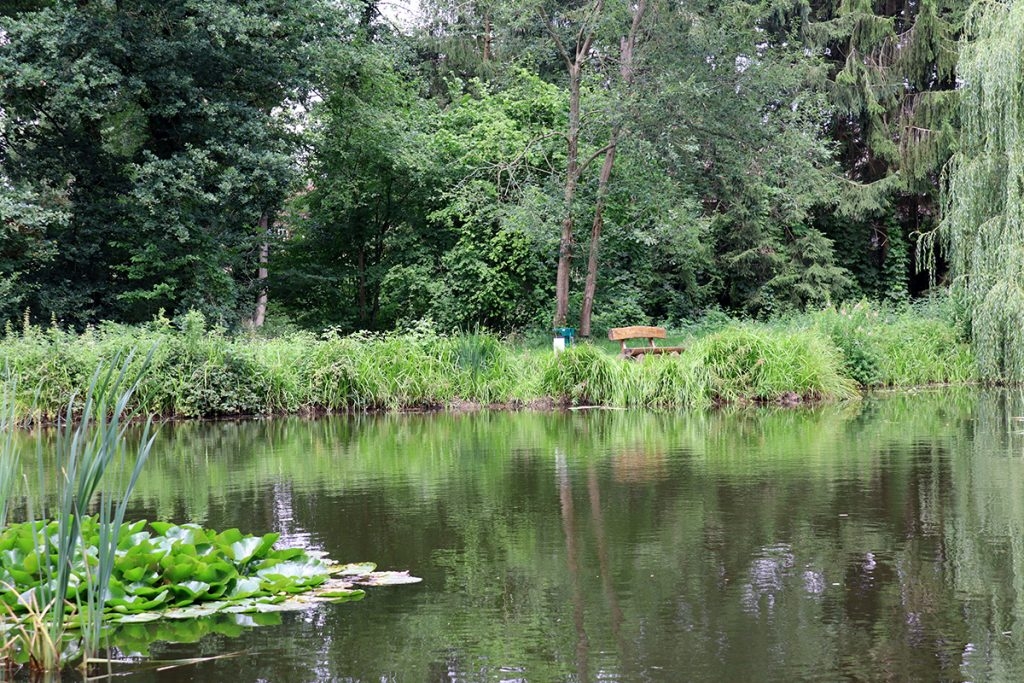 Teich im Biotop Düshorn