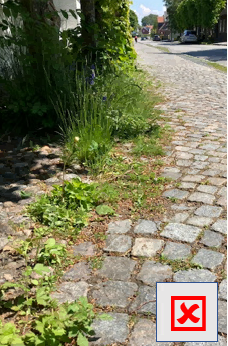 (Foto: Amt Föhr-Amrum)