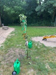 Abschlussfest Patenprojekt Schuljahr 2025/2026