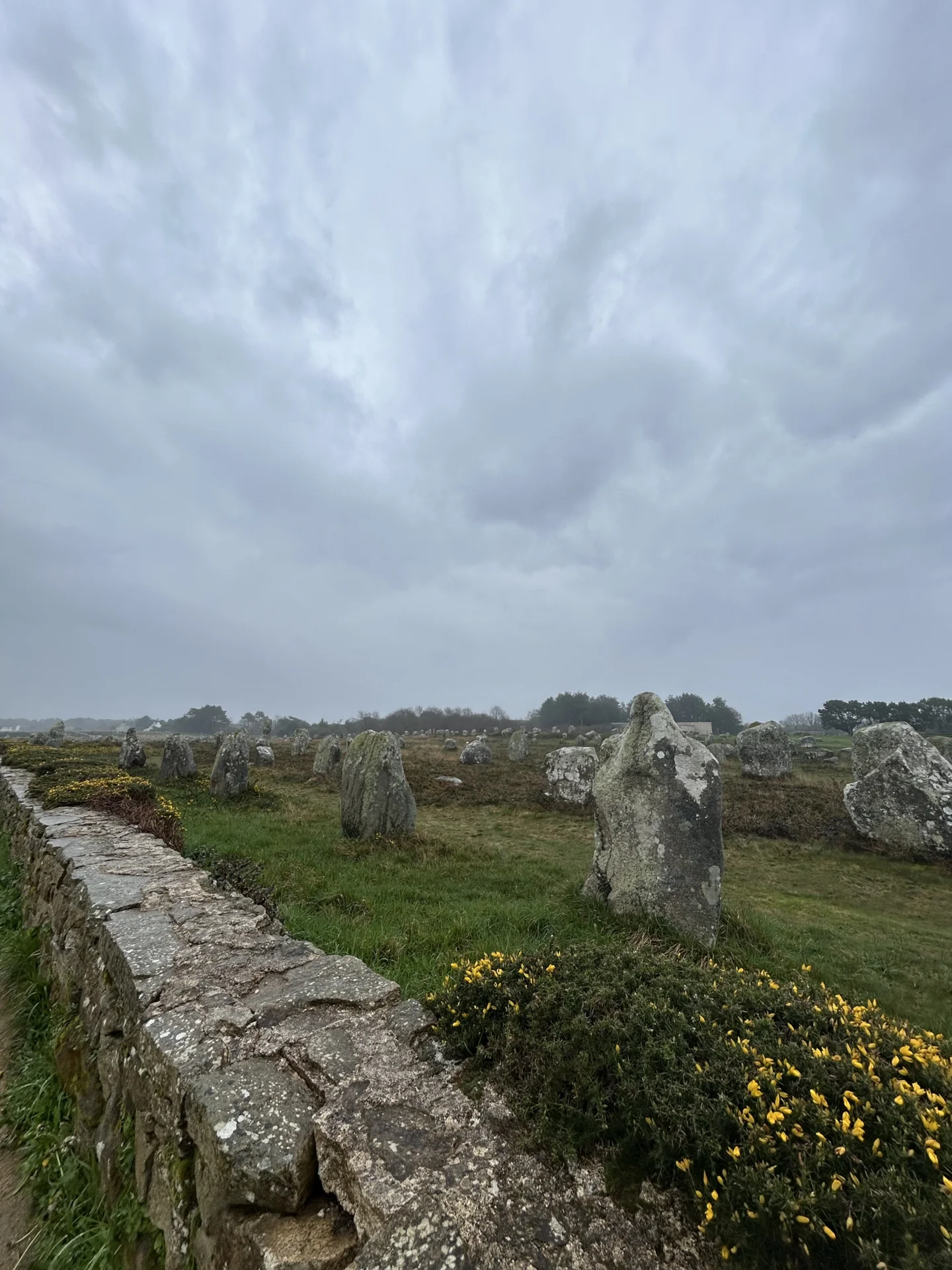 image6