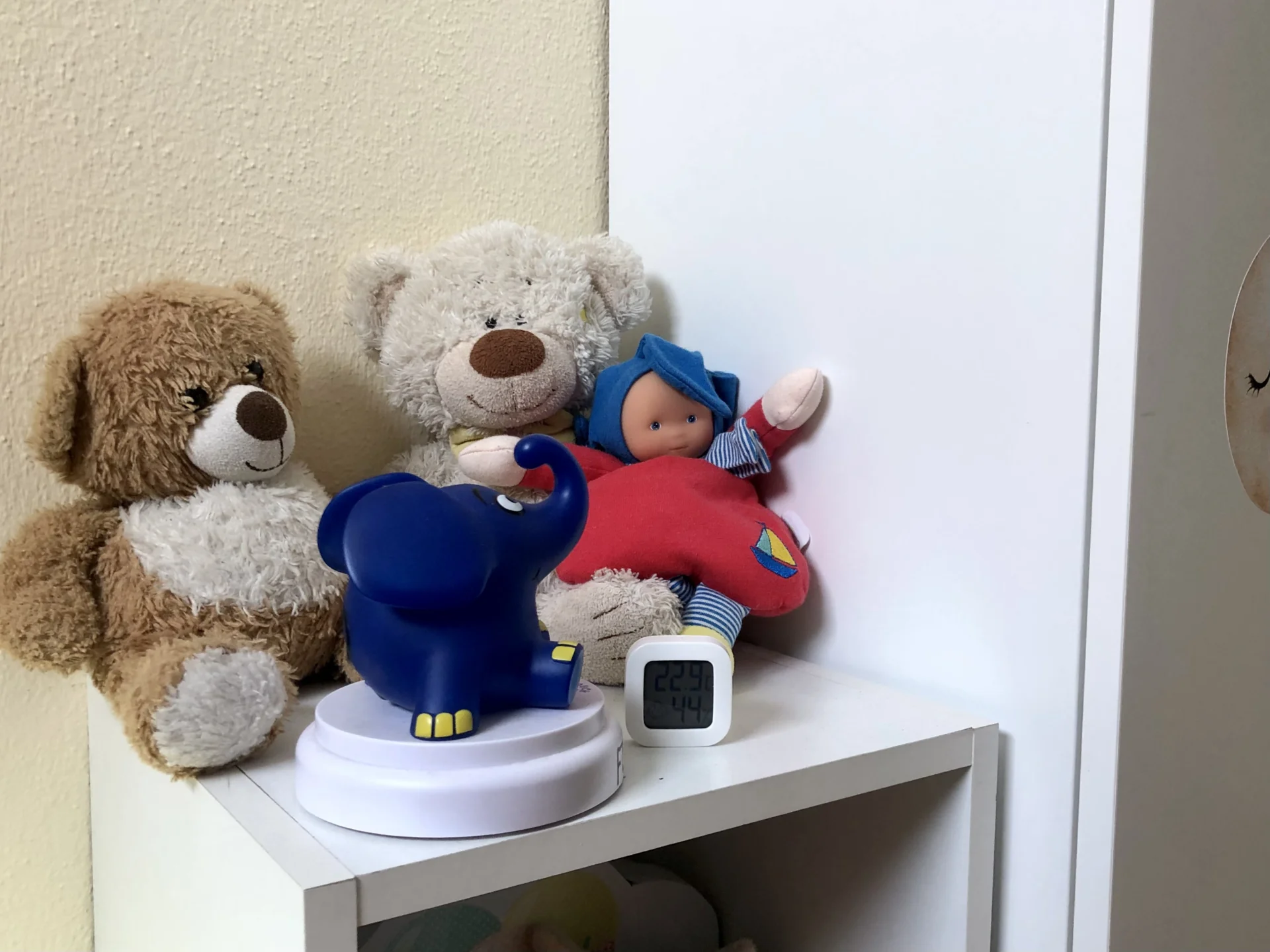 6__IMG_2107