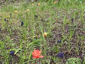 "Natur nah dran" - in Gammertingen