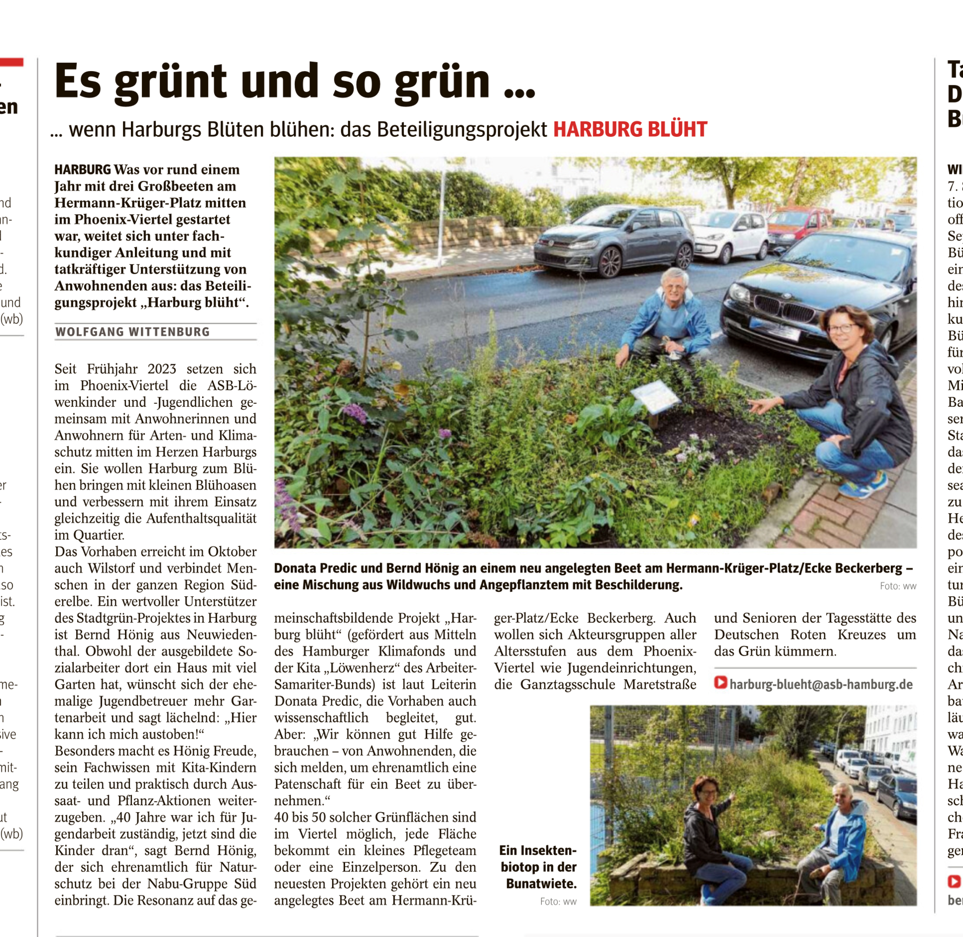 ElbeWochenBlatt_07.09.2024