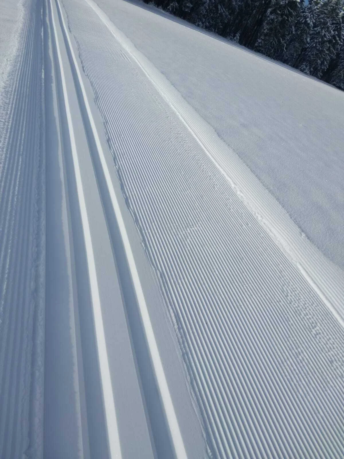 Schnee, Sonne und Spur gelegt in Neuhaus am Rennweg