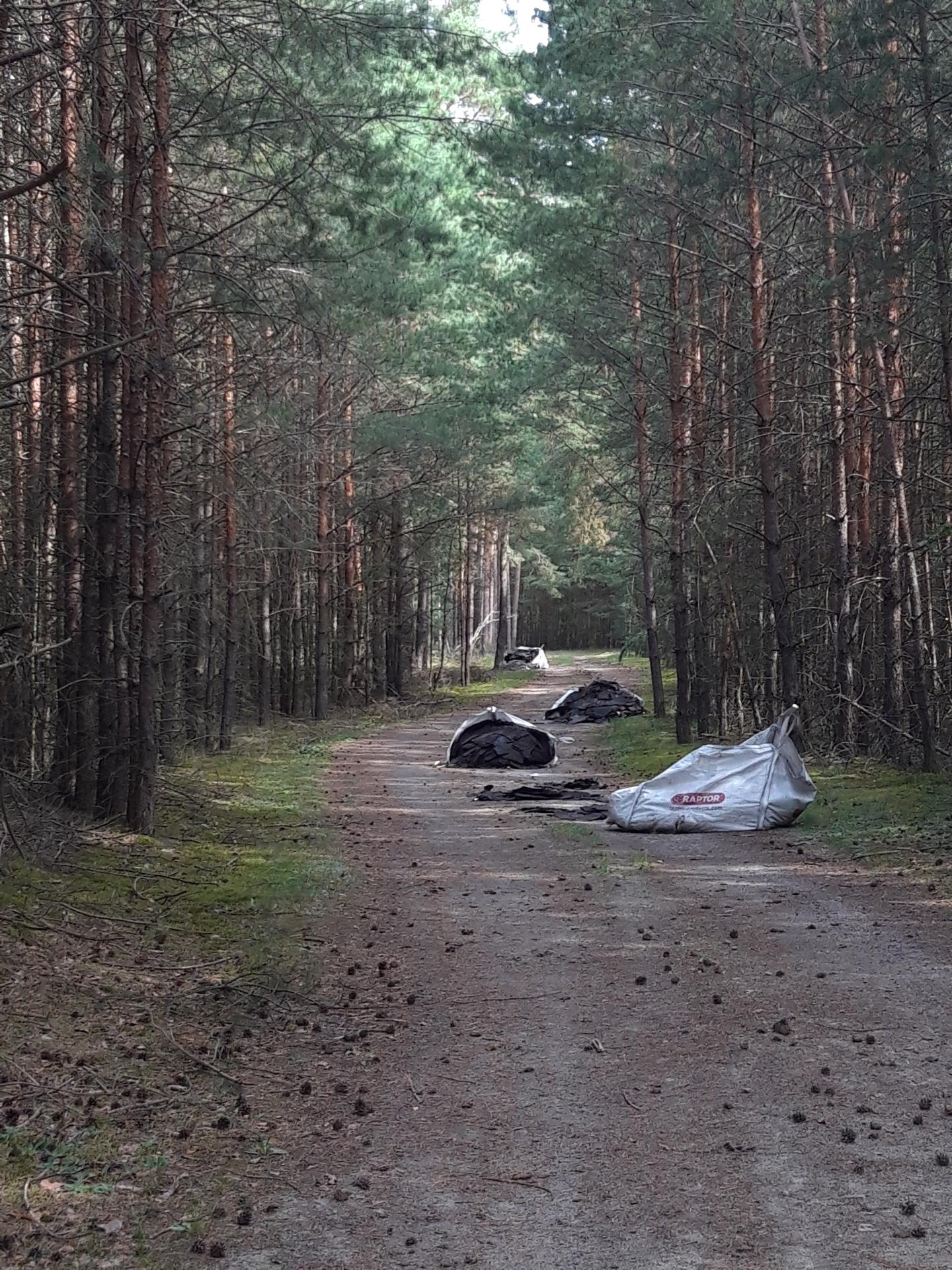 Vier Big Bags im Wald entsorgt