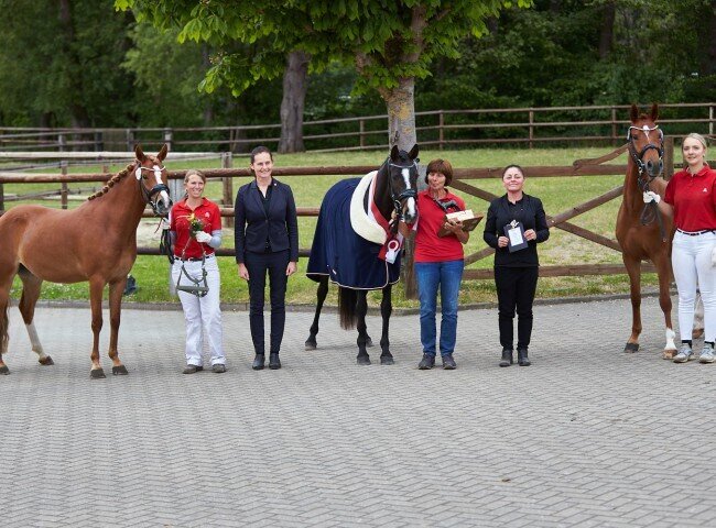 650x480-crop-90-der_ig_reitpony_hessen_e.v._stutenpreis_2025