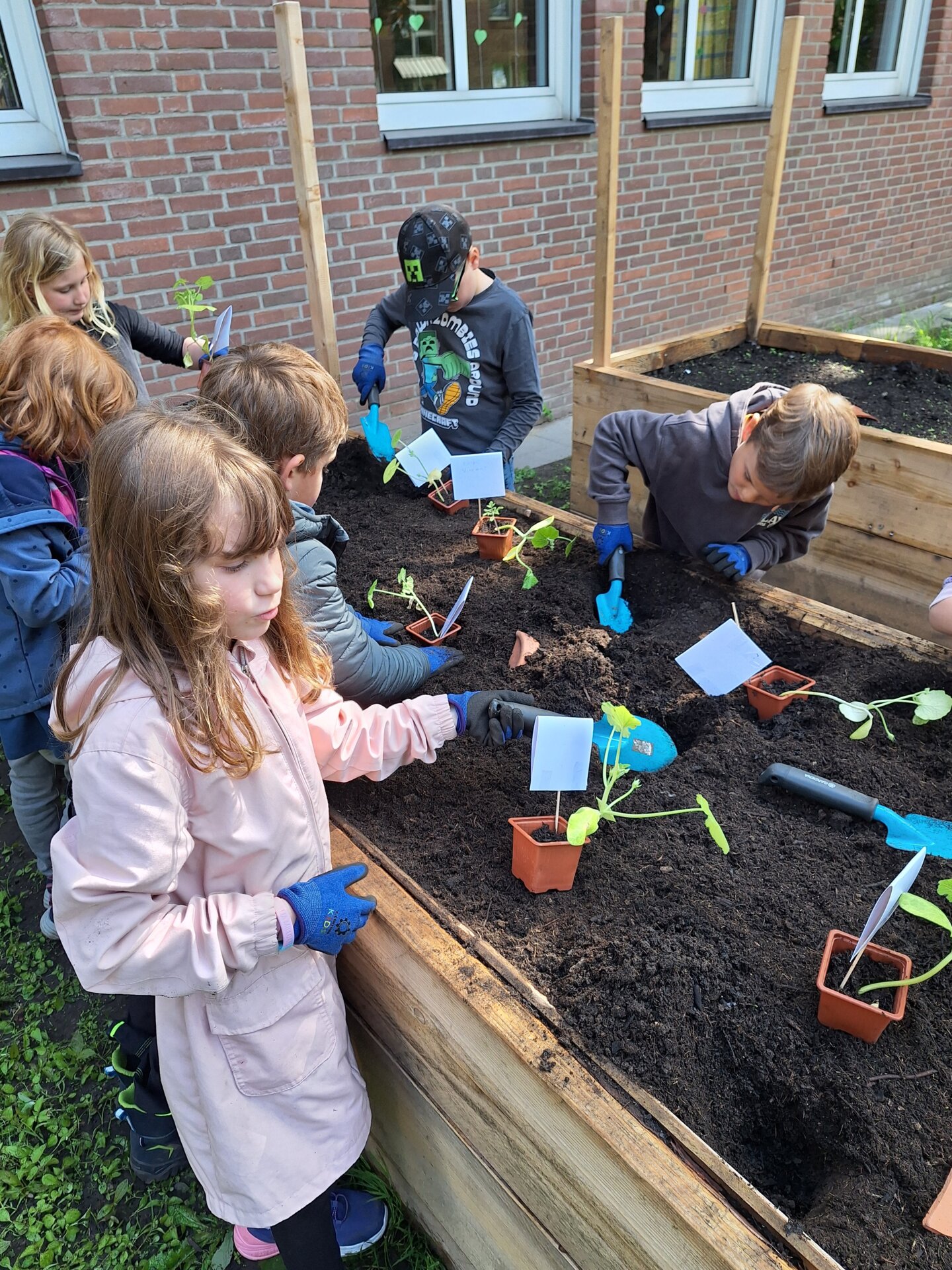 Garten 2